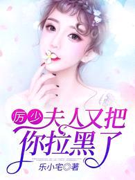 厉少宠妻入骨陆晚晚封面